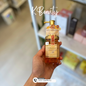 ViCREA- &honey Ex Deep Moist Hair Oil 3.0 - Crafty Hive- Perfumes & Skincare 