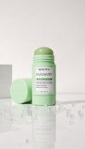 SKINTIFIC: Mugwort Acne Clay Stick,